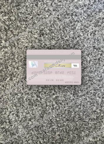 Taiwan Chang Hwa Bank visa debit card photolook back